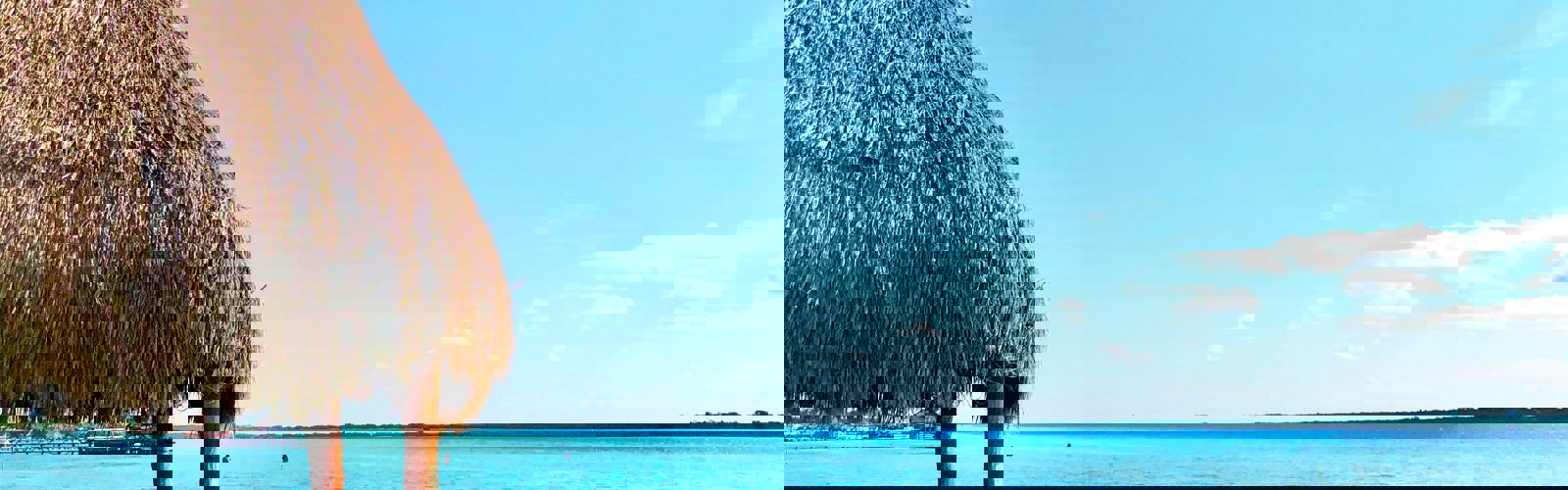 max-harris-brassil-2-v13zRZuLI-unsplash