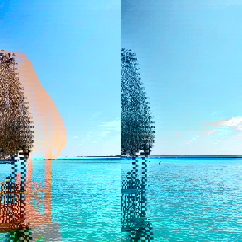 max-harris-brassil-2-v13zRZuLI-unsplash