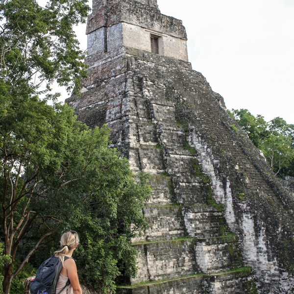 Mayatemplerne stikker op over træerne i skovene i Guatemala