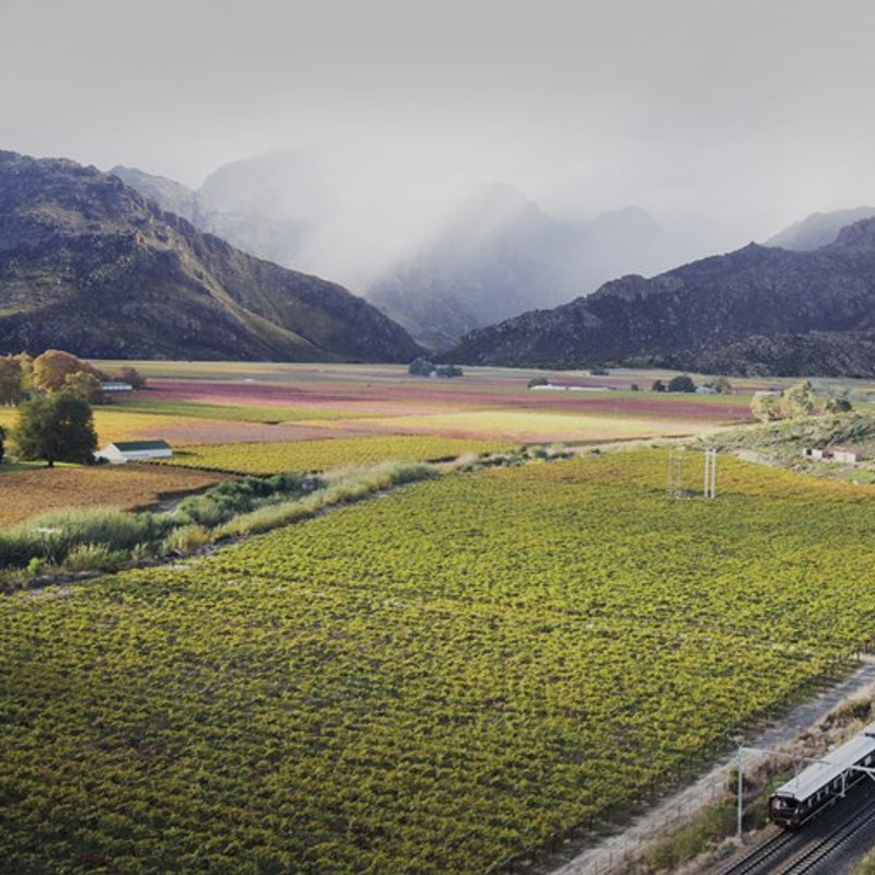 Rovos Rail kører gennem landskabet