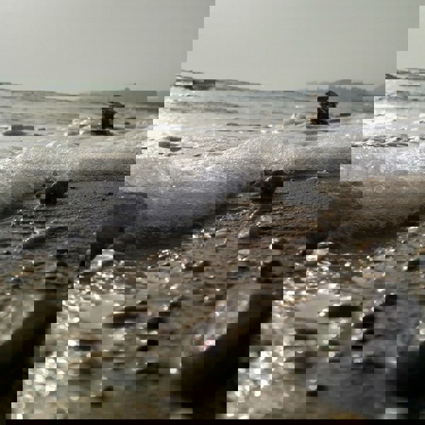 Vandkanten af det døde hav