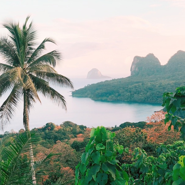 Príncipe - palme og udsigt