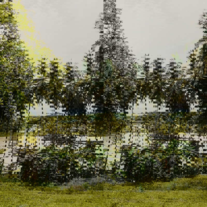 toa-heftiba-6yj0x0xNGb0-unsplash