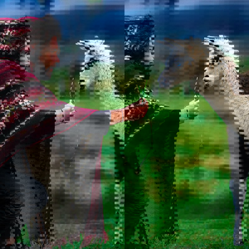 gleb-albovsky-8xCdS7FBpE8-unsplash