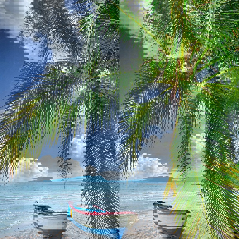 paul-szewczyk-gzR8XMgwI4s-unsplash