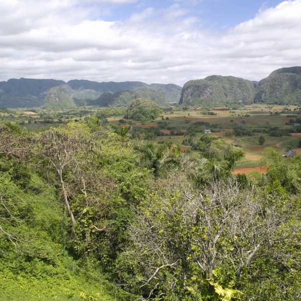 viñales udsigt