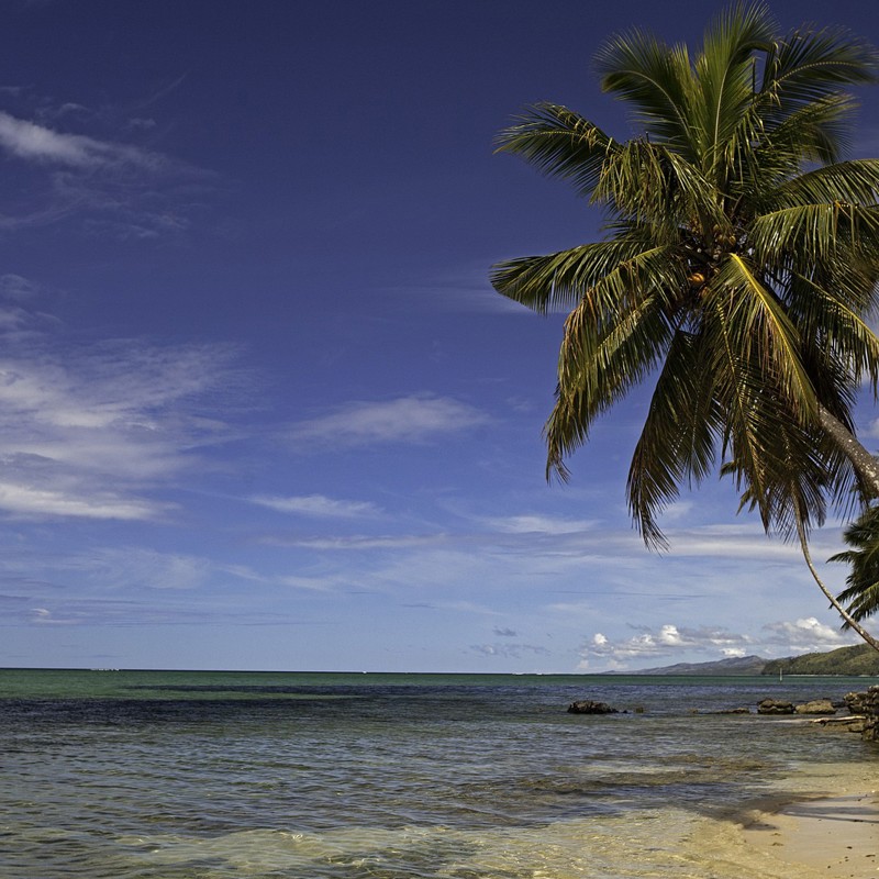 I:\AXUMIMAGES\Oceanien\Fiji\Coral Coast, Fiji