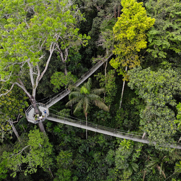 Guyana - Iwokrama River Lodge
