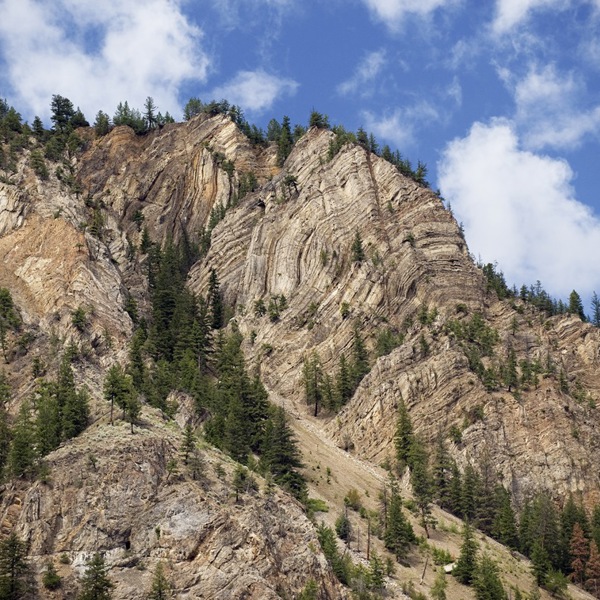 Bjerge med træer i Kobberkløften