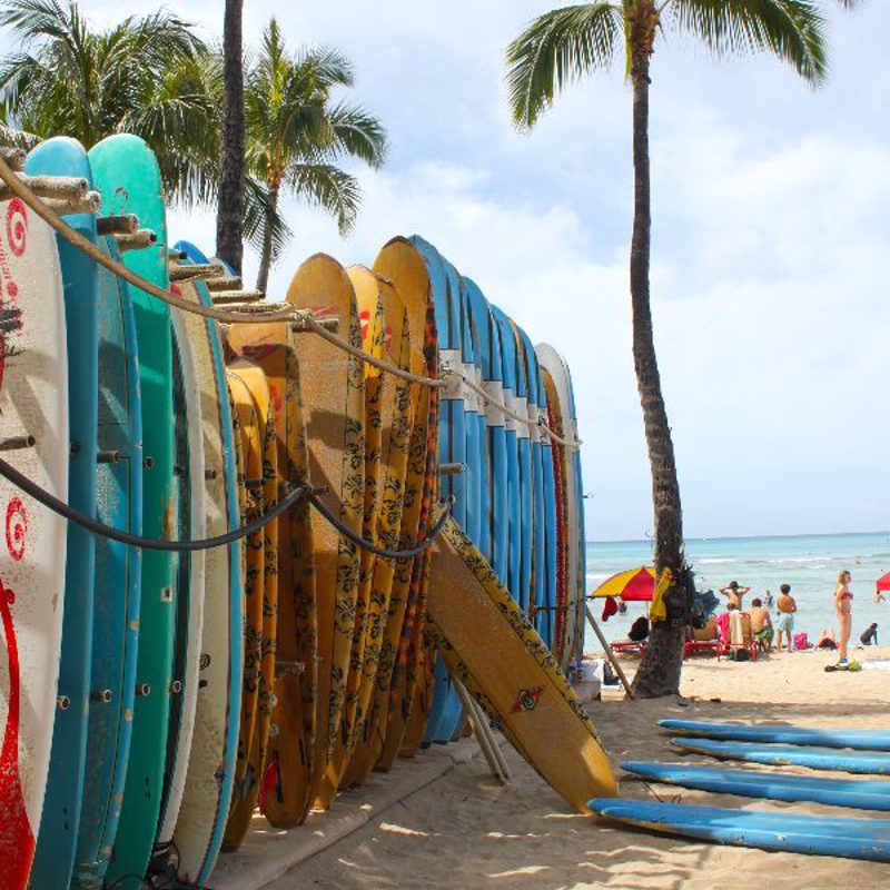 Surfbræt på række på Hawaii