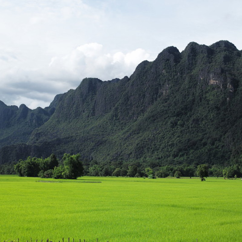 Grønne marker og bjerge ved Hin Boun
