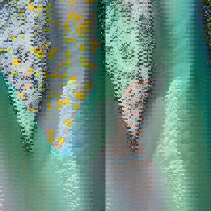 Noosa