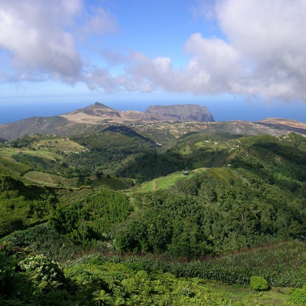 Bjerge og grønt på St. Helena