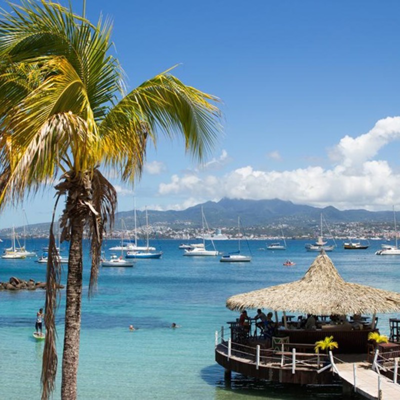 Palme bådhavn Martinique