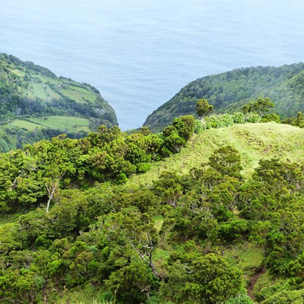 Udsigt fra Sao Jorges bakker over havet