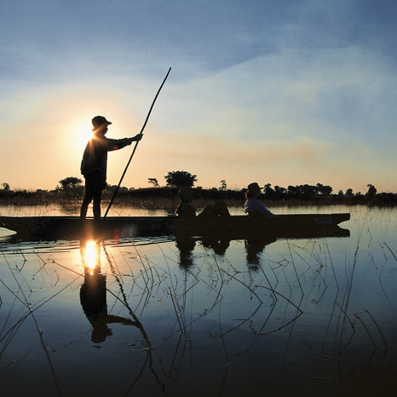 Smuk aften i Okavango Deltaet