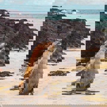 amy-perez-w55TgHidHoE-unsplash