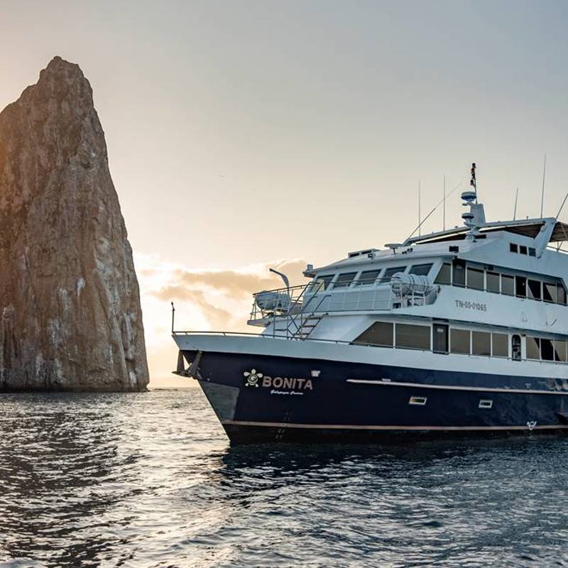 Bonita Exterior 5