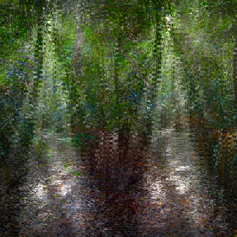 isaac-quesada-bWssU2C3LSI-unsplash