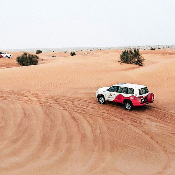 Abu Dhabi for hele familien