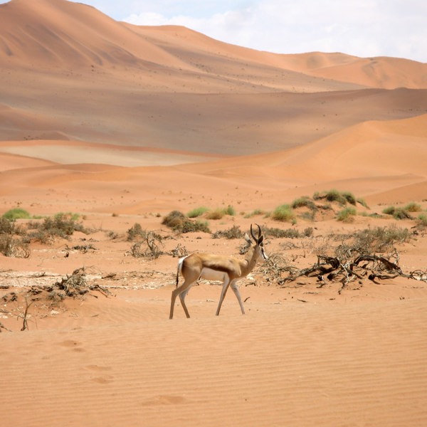 Namibia - Sossuvlei