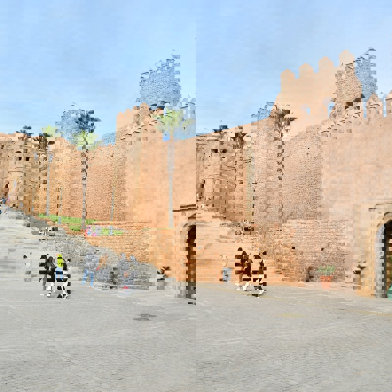 snapsaga-8JAFjZnK2ns-unsplash