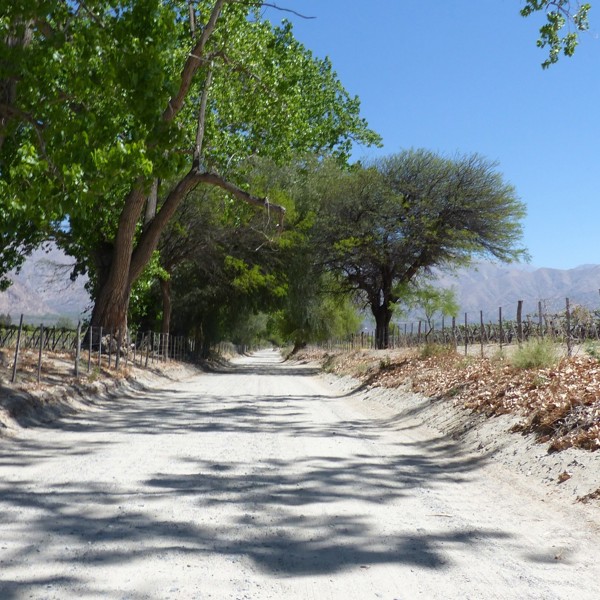 Kør-selv rejser i Argentina