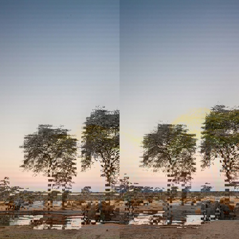 getty-images-DHb_H7TAxgk-unsplash