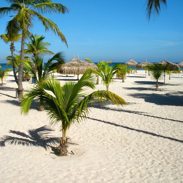 aruba