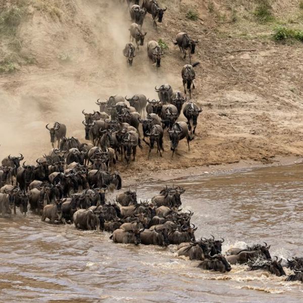 great migration, unsplash