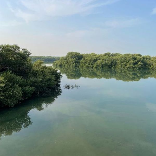 Sø ved Ras Al Khaimah