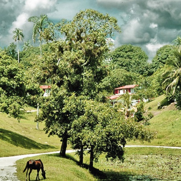 Lokalsamfund på rejser til Cuba