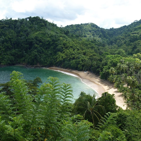 Hvid sandstrand og grønne omgivelser
