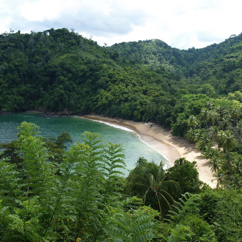 Hvid sandstrand og grønne omgivelser