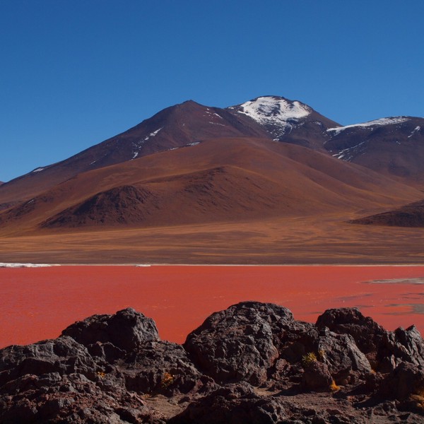 laguna colorada