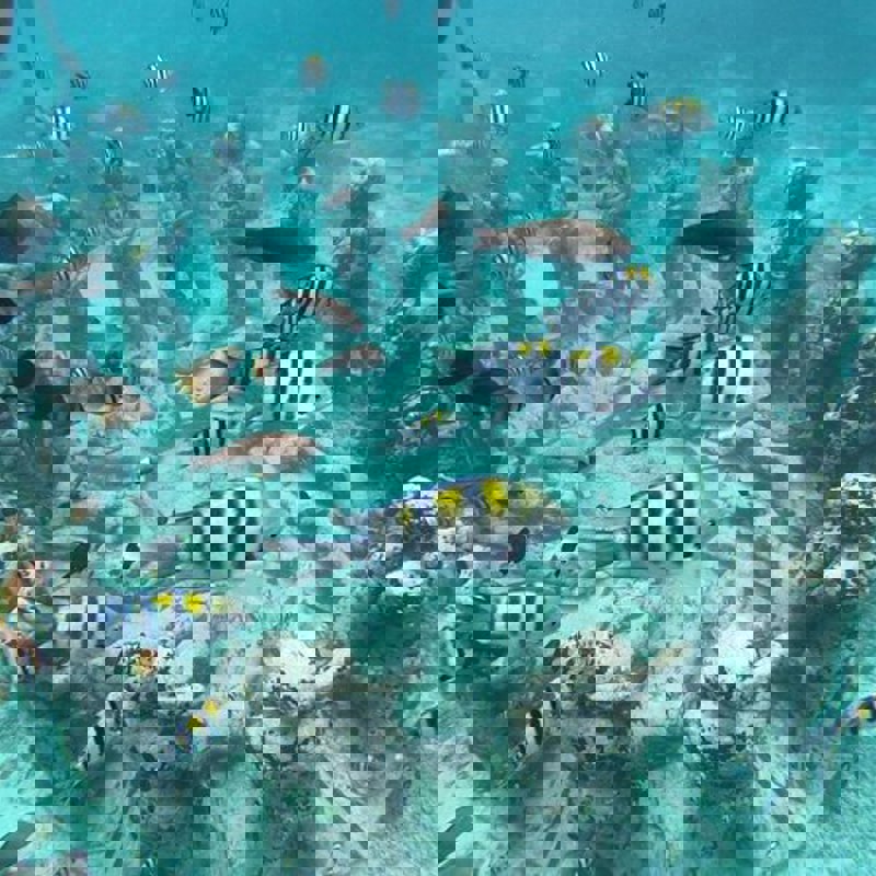 I:\AXUMIMAGES\Asien\Indonesien\Gili\gili