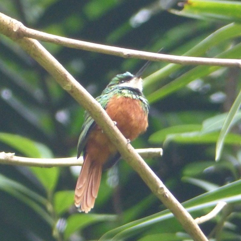 Photo 24-05-14 15.57.48