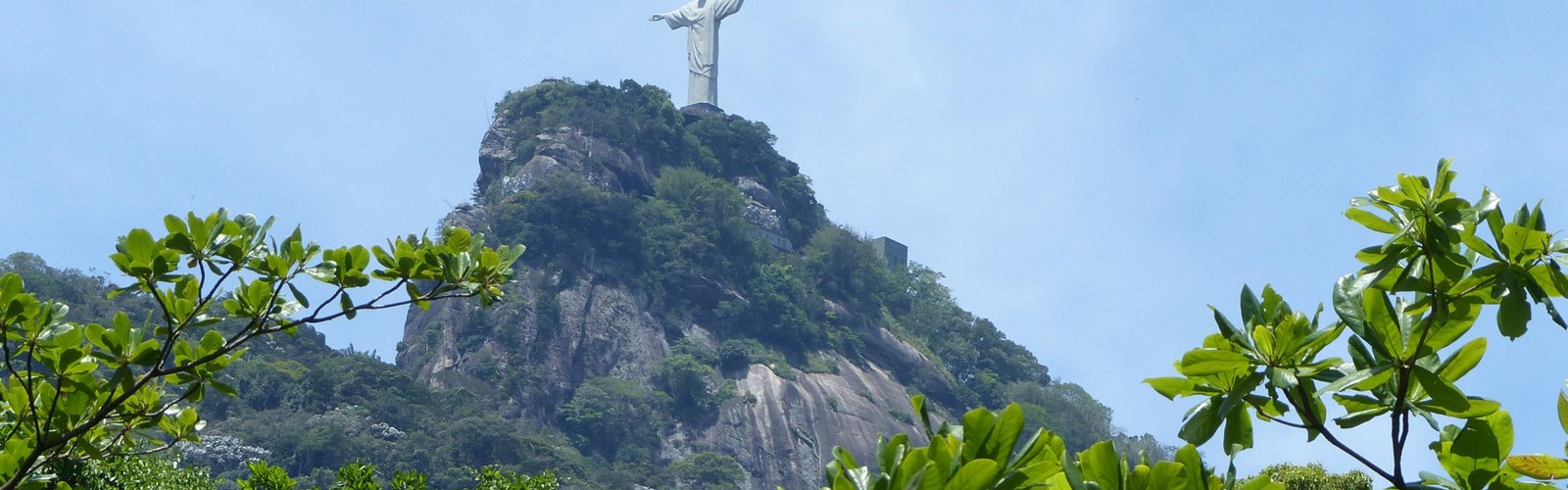 P1000769