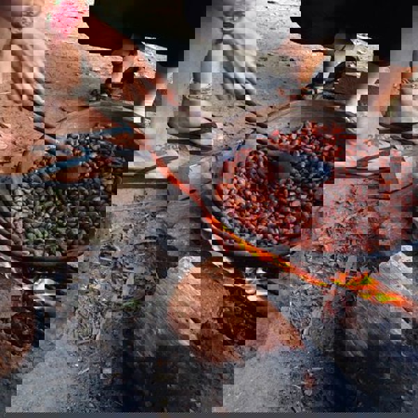 Colombias kulturvidundere