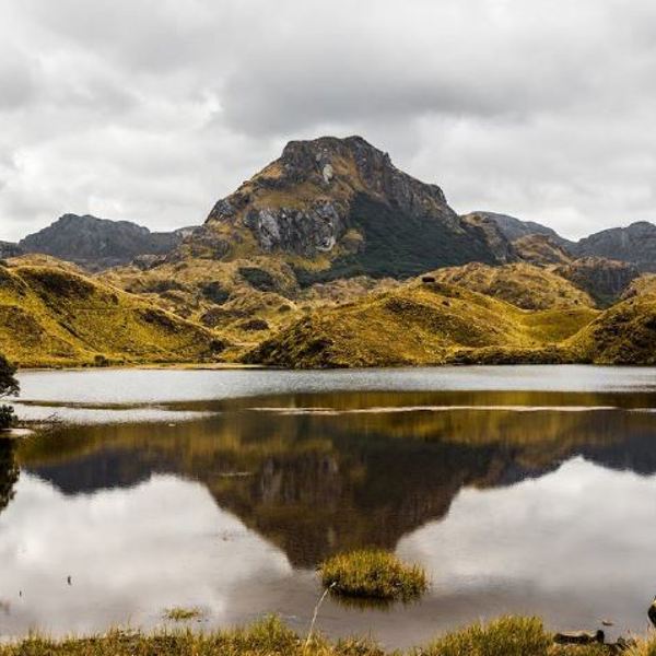 Ecuador - Cajas Julian