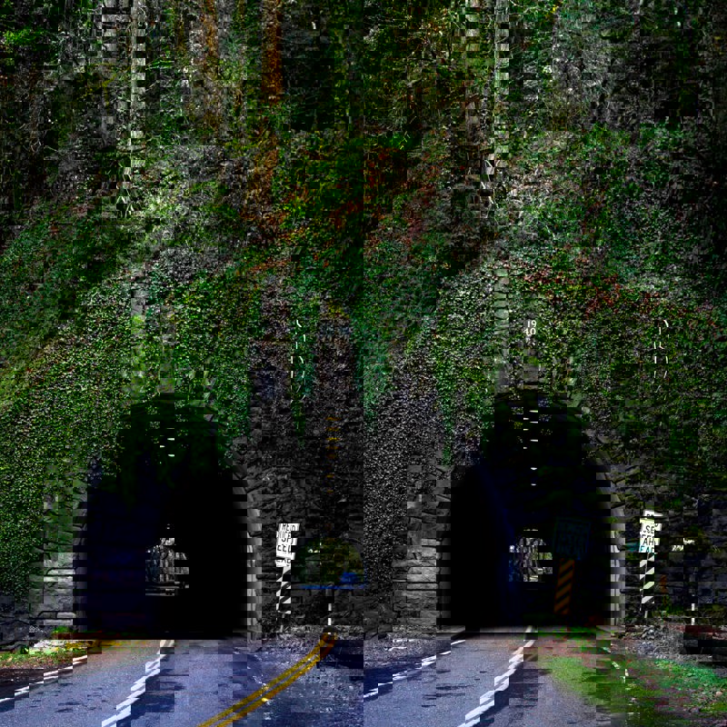 ryan-millsap-lZESlYsbfRc-unsplash