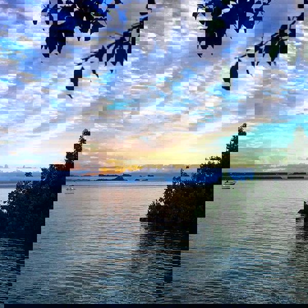 Udsigt fra Sakatia Lodge