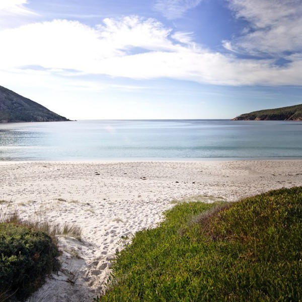 Flot natur ved Freycinet, Tasmanien
