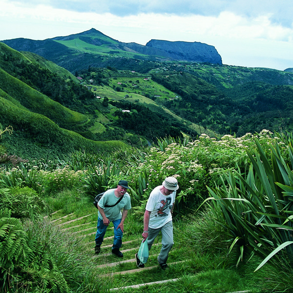 St. Helena, plantager