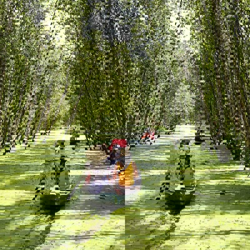 20170112060823_2045772146_13239_0