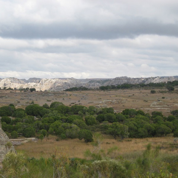 Slette, skov og klipper i Isalo National Park