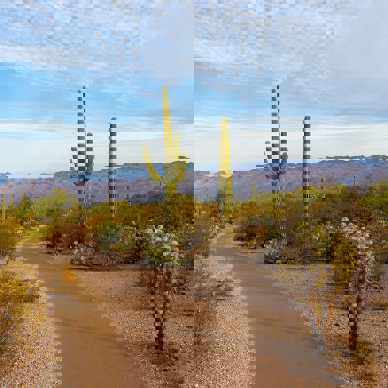 christoph-von-gellhorn-kjA82leKmJc-unsplash