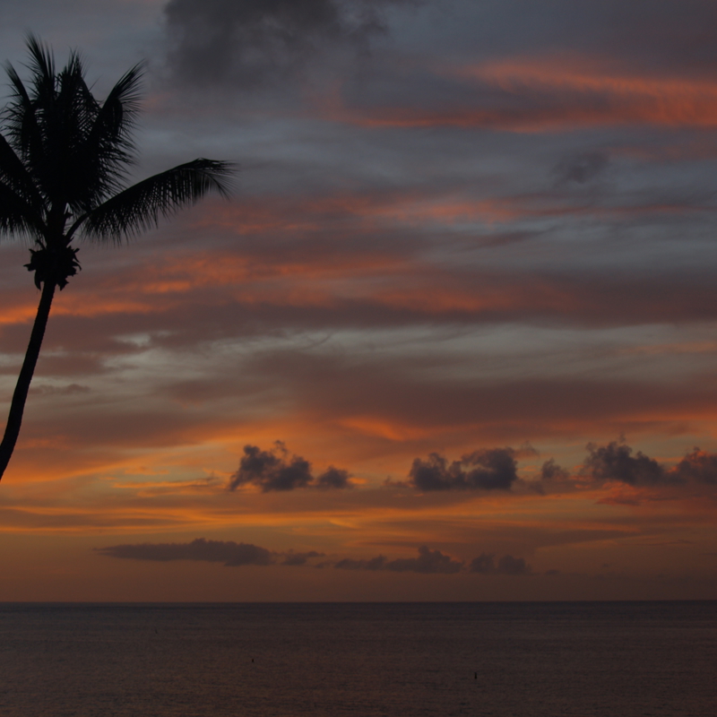 I:\AXUMIMAGES\Caribien\t&t\P9122361