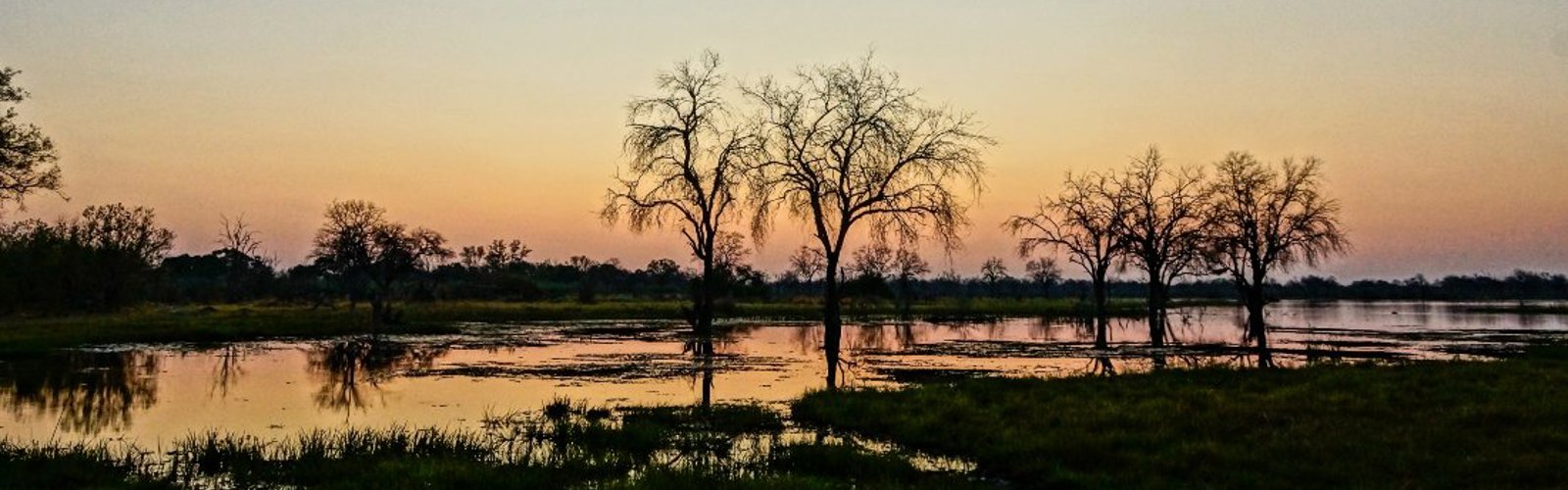 131005_Moremi_619 - mindre