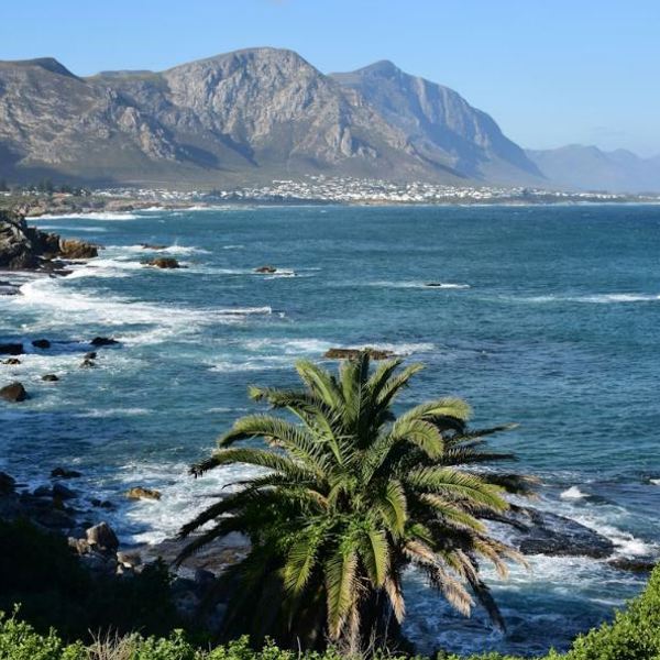 Hermanus